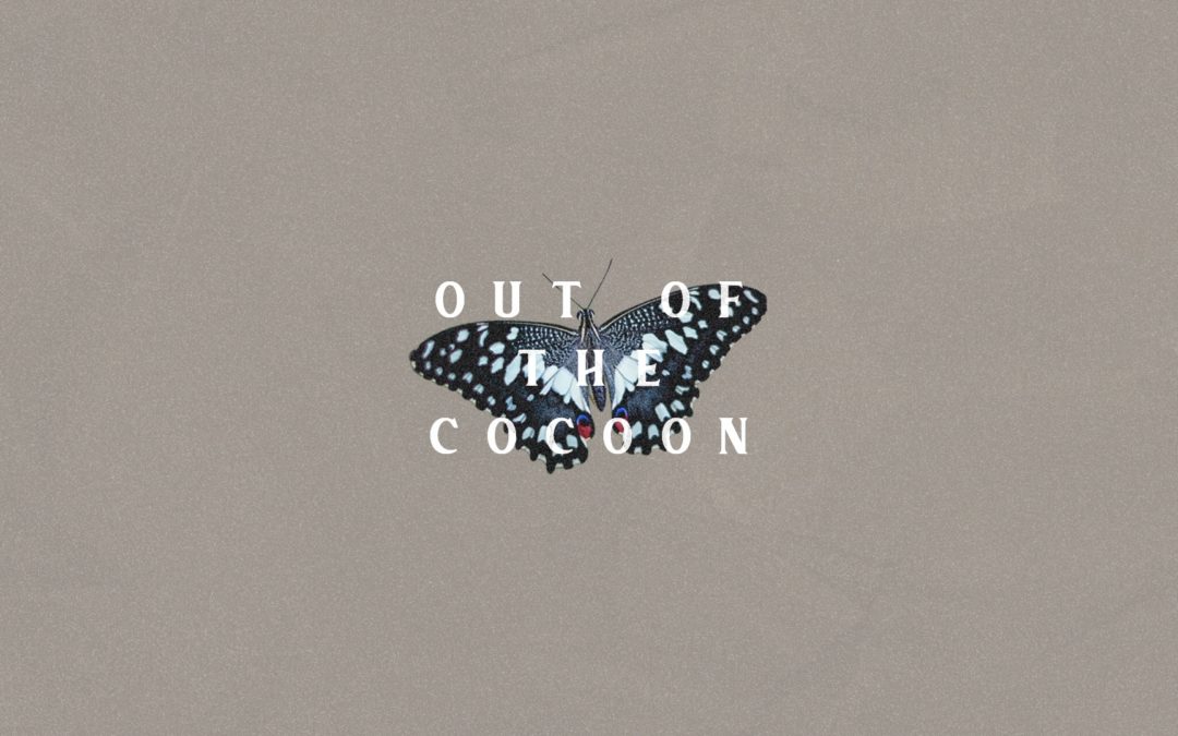 Out of the Cocoon