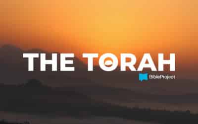 Torah Series