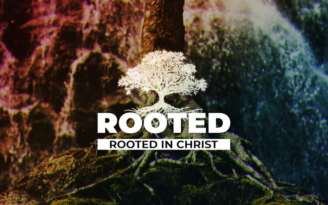 Rooted In Christ