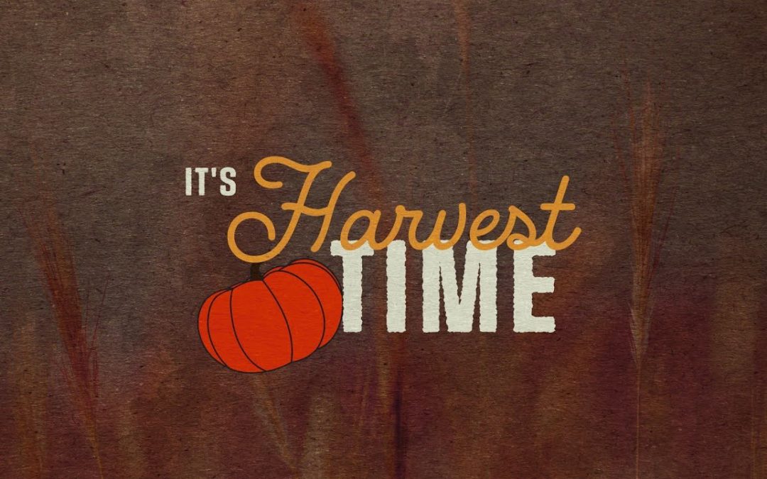 It’s Harvest Time!