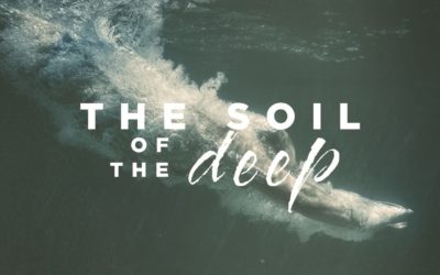 The Soil Of The Deep (Deeper Part 8)